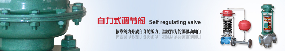自力式調節(jié)閥